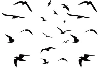 Set of silhouettes of birds, bird's flock set 