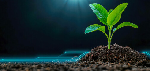 sustainable lifestyle with plant-based diets innovation. Holographic interfaces glowing with interactive lessons on vertical farming for plant-based diets, redefining food production