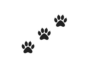 Three animal paw prints