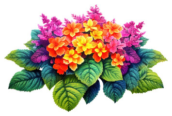 Obraz premium PNG Leaf lantana flower plant.