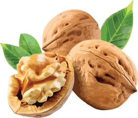 Three whole walnuts and one cracked open with green leaves