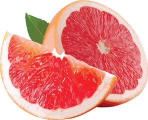 Two Slices of Pink Grapefruit with Green Leaf citrus