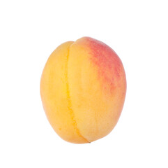 One fresh ripe apricot isolated on white
