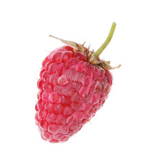 One fresh ripe raspberry isolated on white
