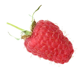 One fresh ripe raspberry isolated on white