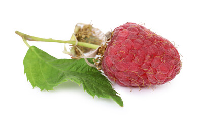 Fresh ripe raspberry with green leaf isolated on white