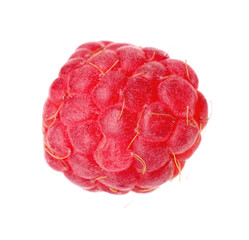 One fresh ripe raspberry isolated on white