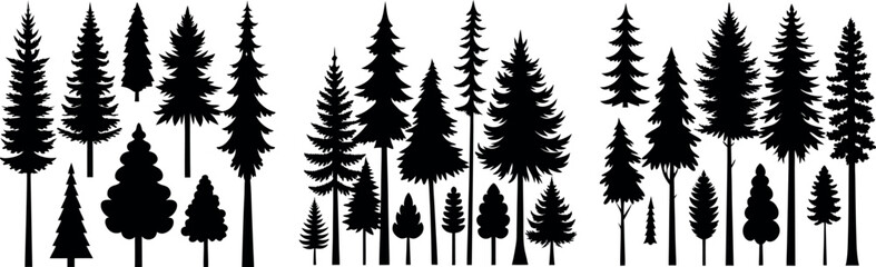 Fototapeta premium Forest of Christmas fir trees silhouette. Coniferous spruce panorama. Park of evergreen wood. Vector on white&nbsp;background