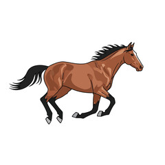 Obraz premium A brown horse gallops across a white background, showcasing its powerful movement.