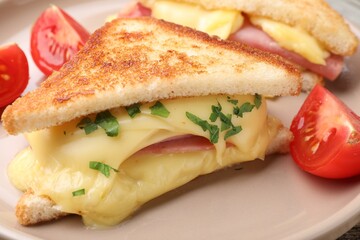 Delicious sandwiches with melted cheese, ham and tomatoes on table, closeup
