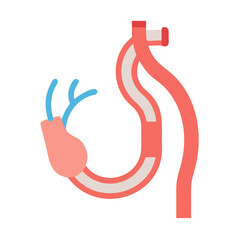 Simplified diagram of the human digestive system anatomy