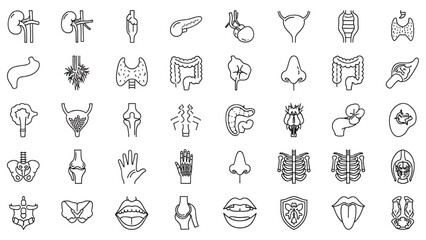 Medical Organs Line Icon Set – Vector Pictograms of Human Anatomy and Body Parts, Kidney, Bladder, Pancreas, Intestine, Thyroid, Pelvis, Skeleton, Joint, Hand, Nose, Mouth, Tongue, Thin Linear Illustr