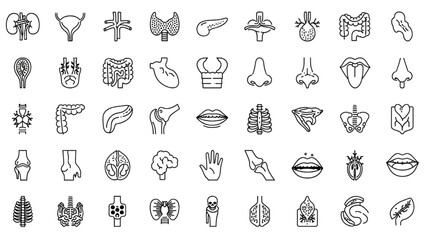 Naklejka premium Medical Organs Line Icon Set – Vector Pictograms of Human Anatomy and Body Parts, Kidney, Bladder, Pancreas, Intestine, Thyroid, Pelvis, Skeleton, Joint, Hand, Nose, Mouth, Tongue, Thin Linear Illustr