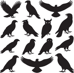 Collection of bird of prey silhouettes including eagles and owls on white background hawk