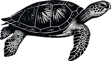 A black and white tortoise 