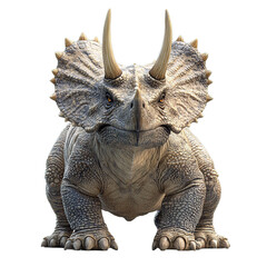 Realistic Triceratops Dinosaur Model