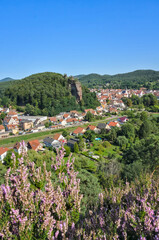 A panoramic view of the town of Dahn in the Pfälzerwald forest, showing the red-roofed buildings nestled in a green valley with a prominent rock formation behind it, under a clear summer sky.