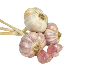 Several heads of garlic isolated on PNG background.