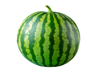 Green uncut organic watermelon isolated on transparent background