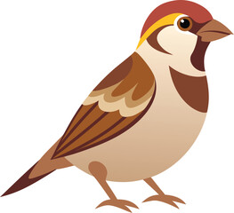Fototapeta premium Charming sparrow illustration in natural brown and beige tones