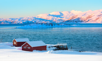 Fototapety na wymiar - Fototapeta24.pl
