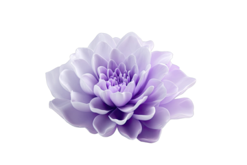 Purple, detailed flower