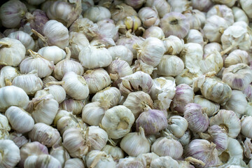 Pile of fresh garlic bulbs displayed in bulk at a market, highlighting natural texture, subtle purple tones, and farm-to-table freshness.