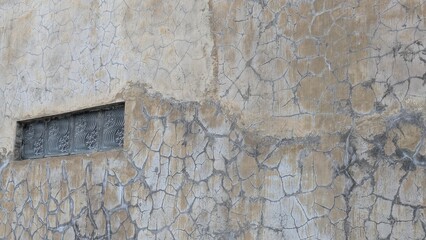 A wide shot of an old, weathered wall with an intricate pattern of cracks and stains. A small, long...