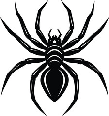 Detailed Black and White Spider Illustration with Eight Legs and Intricate Design on white background