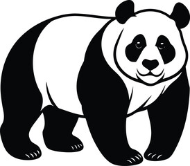 Adorable Giant Panda Bear Black and White Illustration on white background