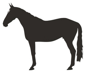 Obraz premium PNG Frieser horse silhouette clip art animal mammal black.