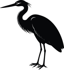 Silhouette of a Great Blue Heron Bird on white background