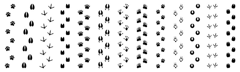 Wildlife beasts footprints trails set. Lines of animals footmarks. Animal footsteps tracks. Footprints paw prints © dlyastokiv