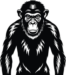 Powerful Chimpanzee Portrait Black and White Illustration on white background