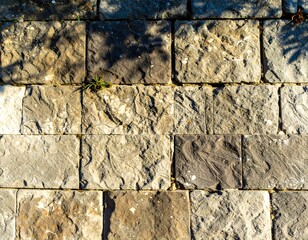 Fototapeta premium Stone pavement texture