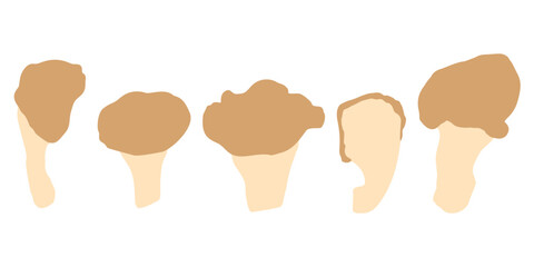 Oyster mushroom flat illustration. Simple bold mushroom shapes