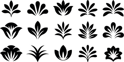 Obraz premium Collection of elegant black floral ornaments and decorative flourishes for design projects