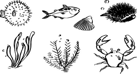 Black and white sketches of marine life with puffer fish and sea creatures