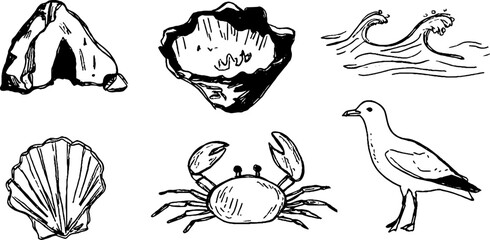 Fototapeta premium Hand-drawn sea creatures and elements sketch set for nautical designs