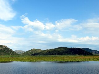 Discovering the Tranquil Beauty of Skadar Lake in Montenegros Stunning Landscape
