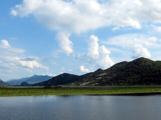 Explore the Serene Beauty of Skadar Lake, Montenegros Tranquil Waters and Lush Landscapes