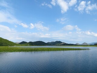 Explore the Serene Beauty of Skadar Lake in Montenegro During a Bright Sunny Day