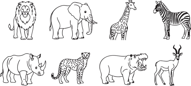 African safari animal line drawings on white background,  lion, elephant, giraffe, zebra, rhinoceros, cheetah, hippopotamus, antelope, safari, animal, wildlife, drawing, illustration, line art, black,