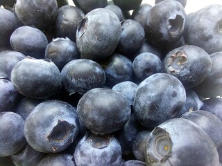 Fresh Blueberries Gathered in a Basket Ready for a Healthy Snack or Dessert Preparation