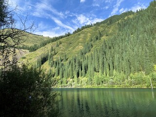 Pine forest in the mountains above a deep lake. Blue sky with white clouds above, green bush in the foreground