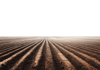 Plowed field stretches to horizon