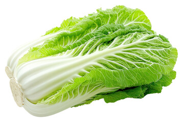 PNG Chinese cabbage vegetable lettuce plant.