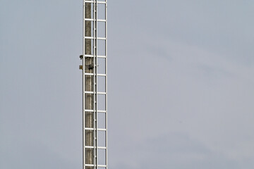Large metal ladder attached to tall metal pole outdoors at a telecommunication tower