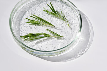 Anti-inflammatory serum and rosemary in a petri dish.