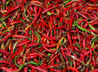 Fototapeta premium Close-up of fresh and dried red and green chili peppers, symbolizing spice, flavor, and heat. Ideal for culinary, food background, agriculture, organic farming, cooking, and spice industry visuals.
